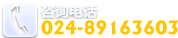 +86-0000-96877